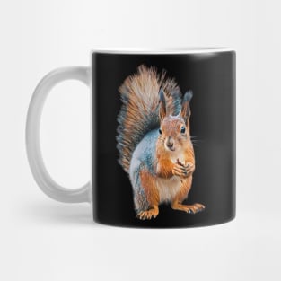 Squirrel - Woodland Themed Kids Room, Funny Gifts For Forester, Cute Animals Mug